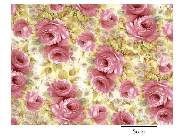 画像1: CHINA PINK ROSE　（Ｌ） (1)
