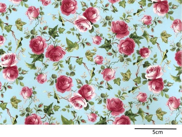 画像1: IVY ROSE PINK   BLUE B/G　（Ｌ） (1)