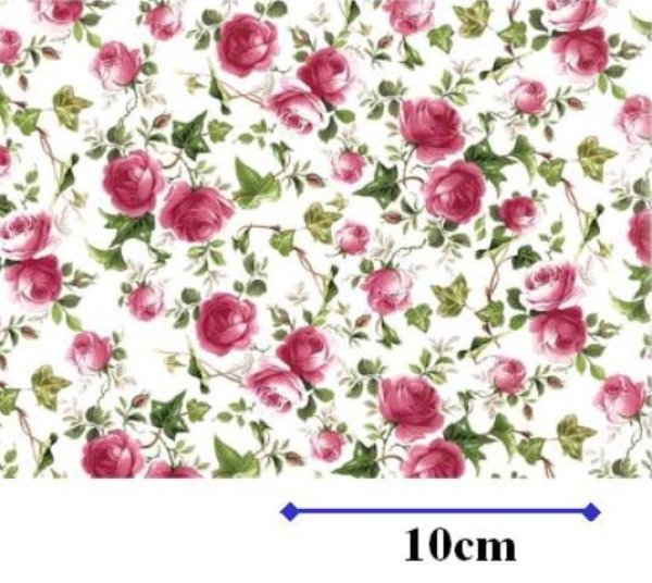 画像1: IVY ROSE PINK CLEAR  (Ａ４) (1)
