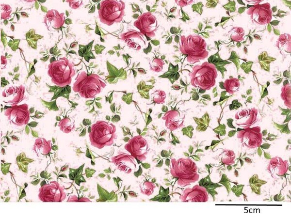 画像1: IVY ROSE PINK   PINK B/G　（Ｌ） (1)