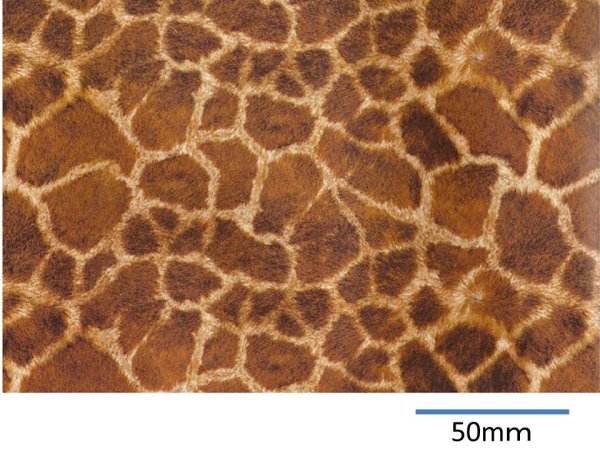 画像1: GIRAFFE　（Ｌ） (1)