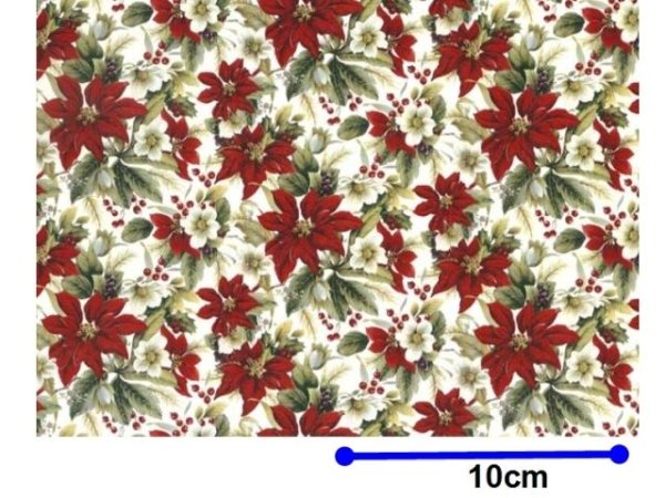 画像1: POINSETTIA CHINTZ　（Ｌ） (1)