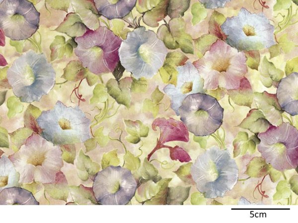 画像1: MORNING GLORY CHINTZ （Ｌ） (1)