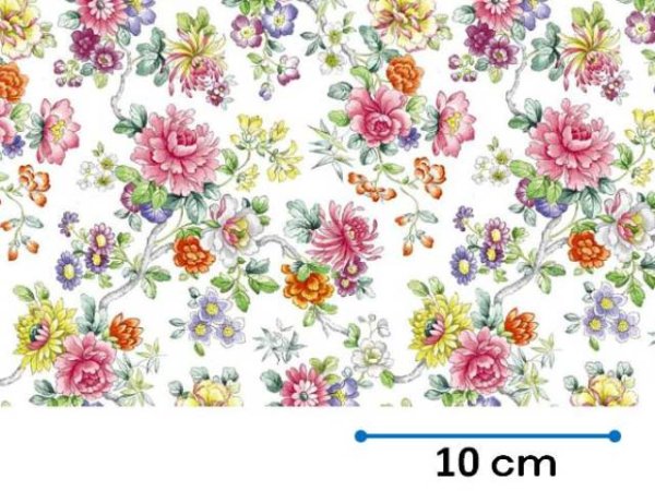 画像1: IMARI CLEAR　（Ｌ） (1)