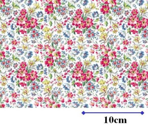 画像1: FLORENCE CHINTZ　（Ｌ） (1)