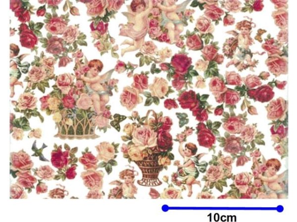 画像1: CHERUBS CLEAR B/G　（Ｌ） (1)