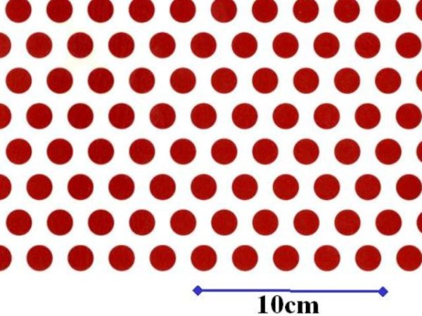 画像1: POLKA DOTS RED　（Ｌ） (1)