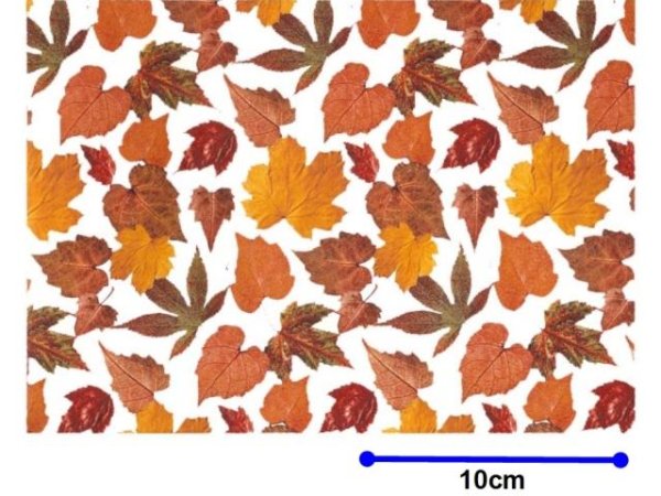 画像1: AUTUMN LEAF CHINTZ　（Ｌ） (1)