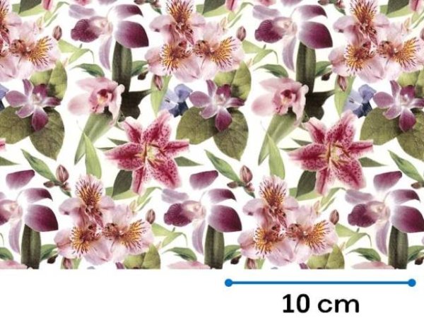 画像1: LILY CHINTZ　（Ｌ） (1)