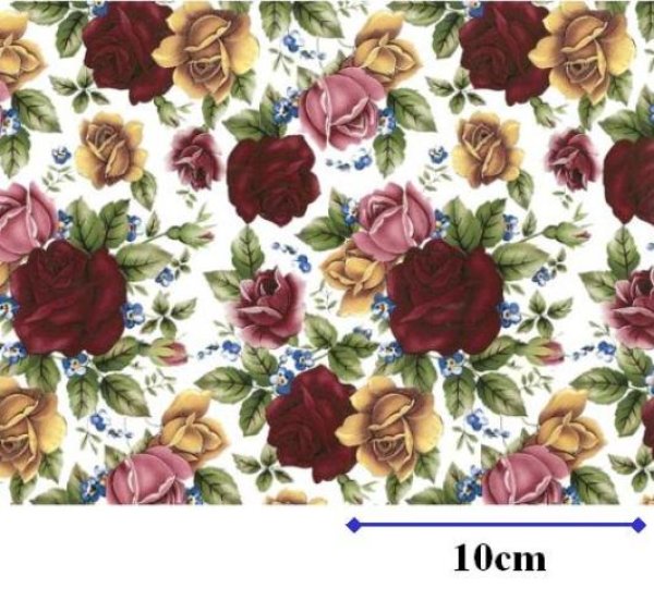 画像1: COTTAGE ROSE CHINTZ L/S　（Ｌ） (1)