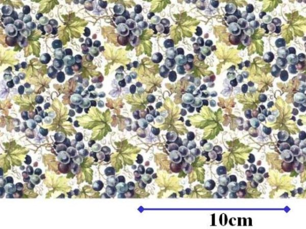 画像1: GRAPEVINE CHINTZ  (Ａ４) (1)