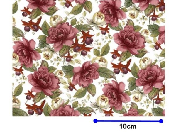 画像1: CAMELLIA CHINTZ　（Ｌ） (1)