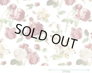 チンツ（A4サイズ） - Roterose