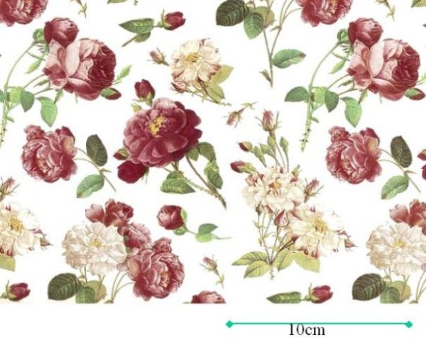 画像1: REDOUTE ROSE CLEAR  (Ａ４) (1)