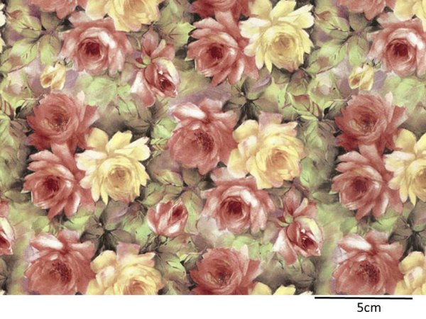画像1: ROSE MIST (A４） (1)
