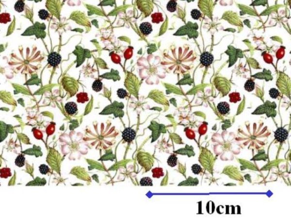画像1: HEDGEROW CHINTZ　（Ｌ） (1)