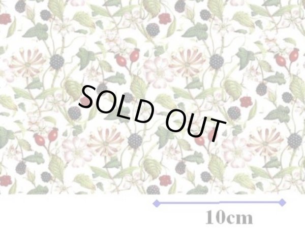 画像1: HEDGEROW CHINTZ  (Ａ４) (1)