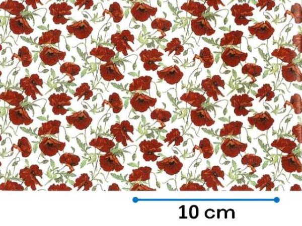 画像1: FIELD POPPY CLEAR　（Ｌ） (1)