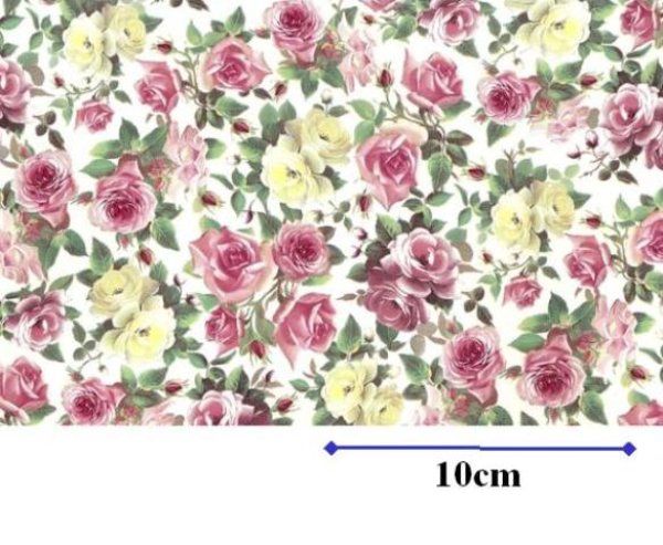 画像1: DORSET CHINTZ CLEAR　（Ｌ） (1)