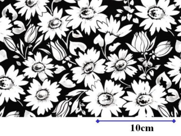 画像1: CRAZY DAISY　（Ｌ） (1)