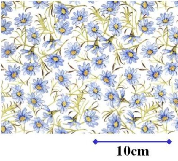 画像1: DAISY CHAIN BLUE　（Ｌ） (1)