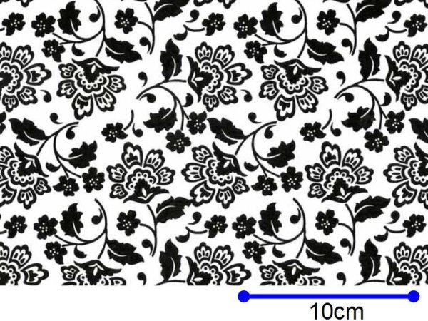 画像1: FLORENTINA BLACK ON WHITE  (Ａ４) (1)