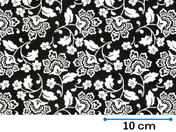 画像1: FLORENTINA WHITE ON BLACK　（Ｌ） (1)