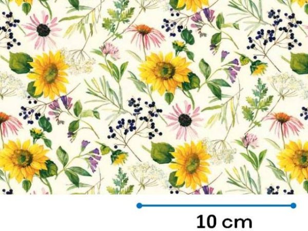 画像1: SUNFLOWER MEADOW CREAR　（Ｌ） (1)