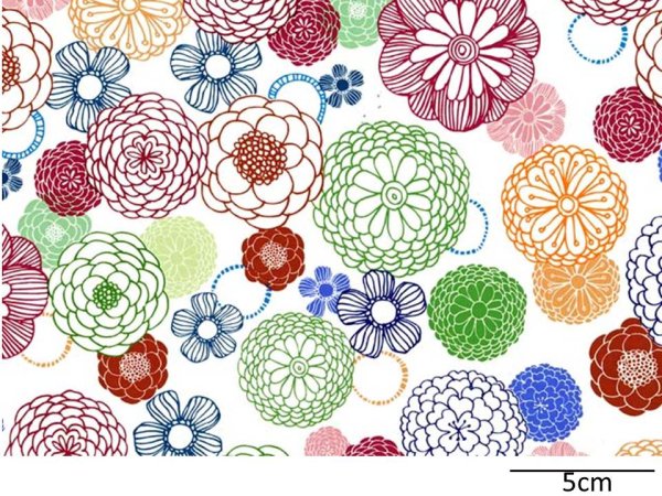 画像1: DARK PASTEL DAHLIA （Ｌ） (1)
