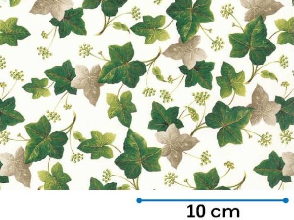 画像1: IVY MAPLE CHINTZ　（Ｌ） (1)