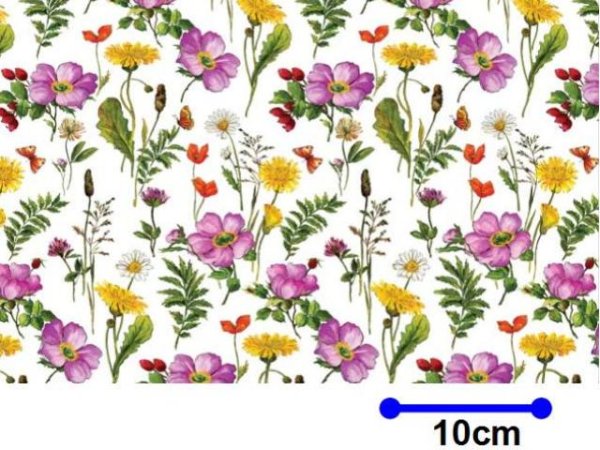 画像1: FLOWER MEADOW　（Ｌ） (1)