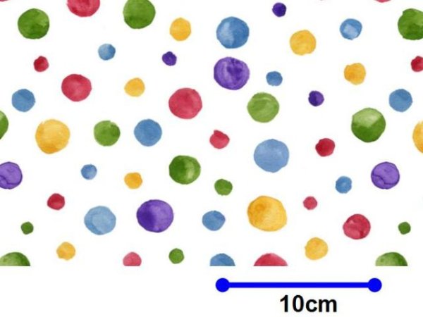 画像1: POLKA LARGE　（Ｌ） (1)