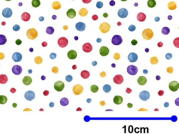 画像1: POLKA SMALL　（Ｌ） (1)
