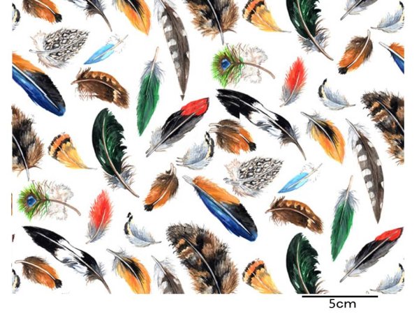 画像1: FEATHERS　（Ｌ） (1)