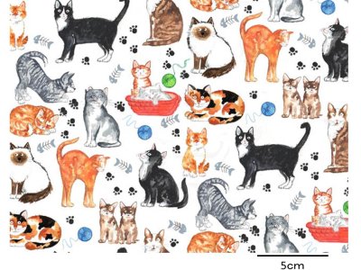 画像1: CATS　（Ｌ）
