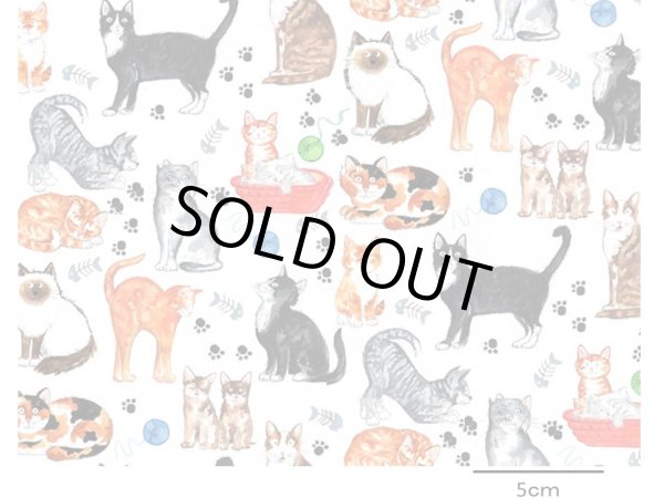 画像1: CATS　（Ｌ） (1)