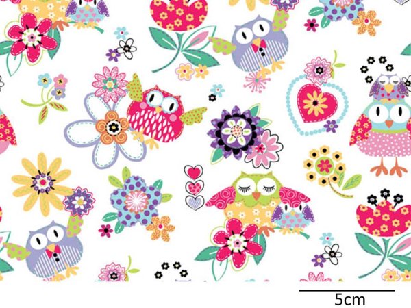画像1: HOOT （Ｌ） (1)