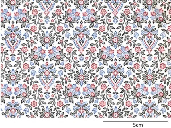 画像1: VICTORIA CHINTZ　(A4) (1)