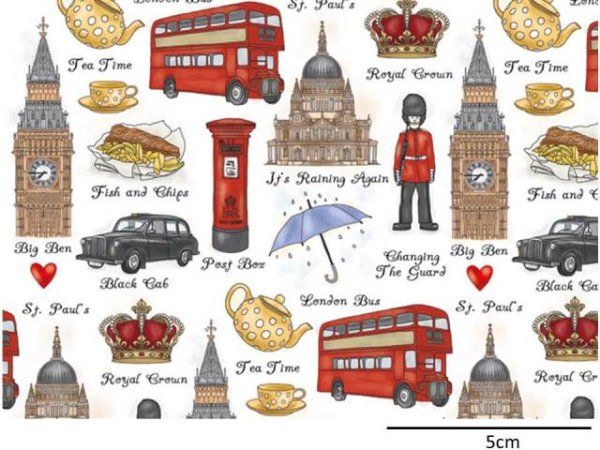 画像1: LONDON CHINTZ (L) (1)