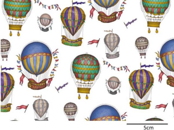 画像1: BALLOON CHINTZ (L) (1)