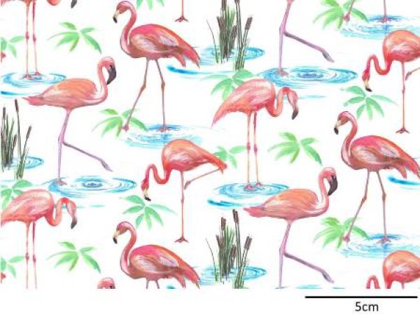 画像1: FLAMINGO CHINTZ (A4) (1)