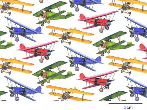画像1: BI-PLANES CHINTZ (A4) (1)