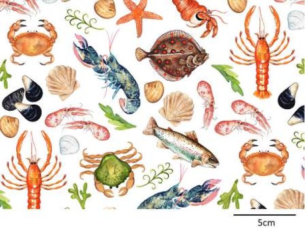 画像1: SEALIFE CHINTZ (A4) (1)