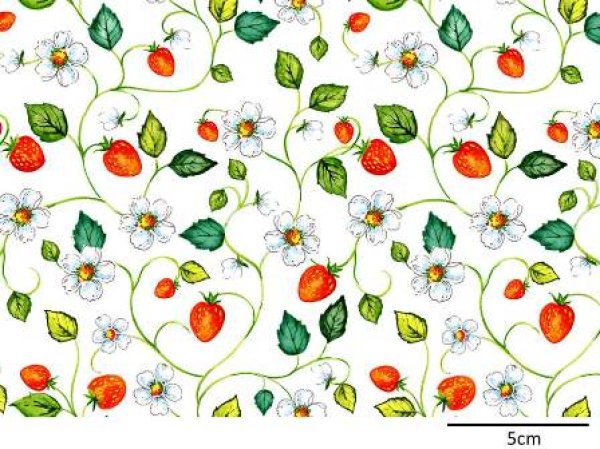 画像1: STRAWBERRY TRAIL (A4) (1)
