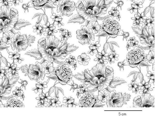 画像1: POPPY TOILE clear  (L) (1)