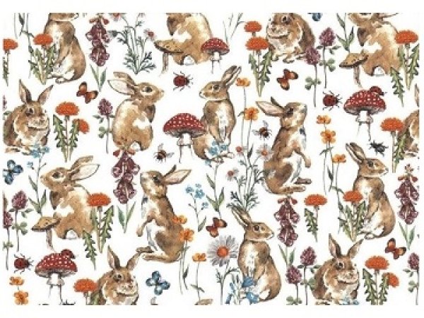 画像1: RABBIT MEADOW (L) (1)