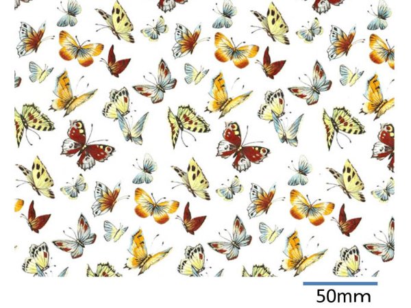 画像1: BUTTERFLY CHINTZ  (Ａ４) (1)
