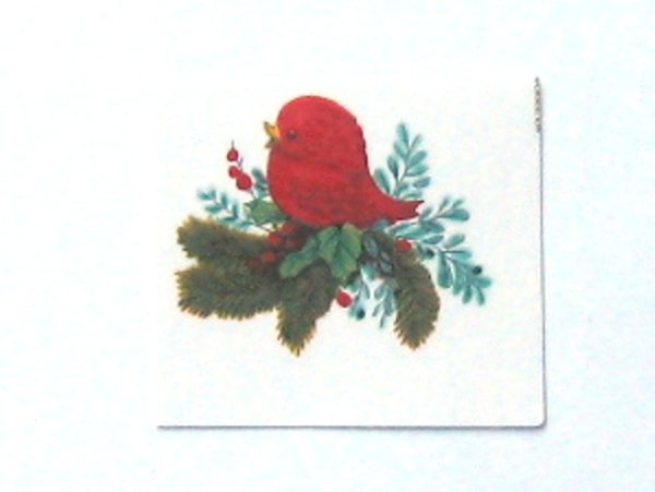 画像1: RED BIRD (1)