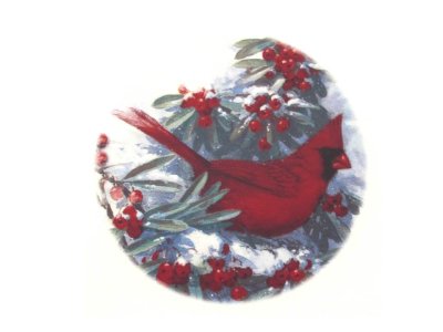 画像1: RED BIRD