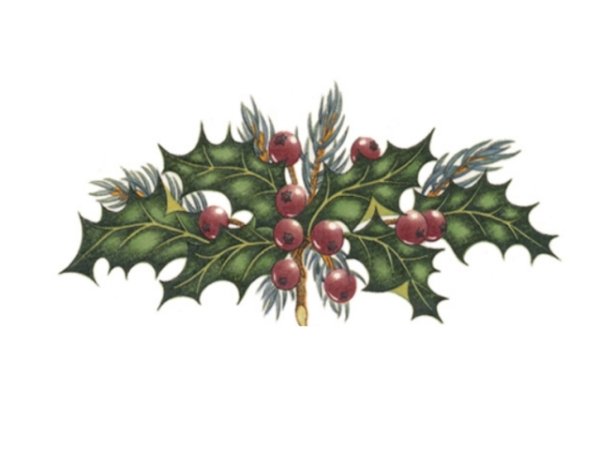 画像1: HOLLY (1)